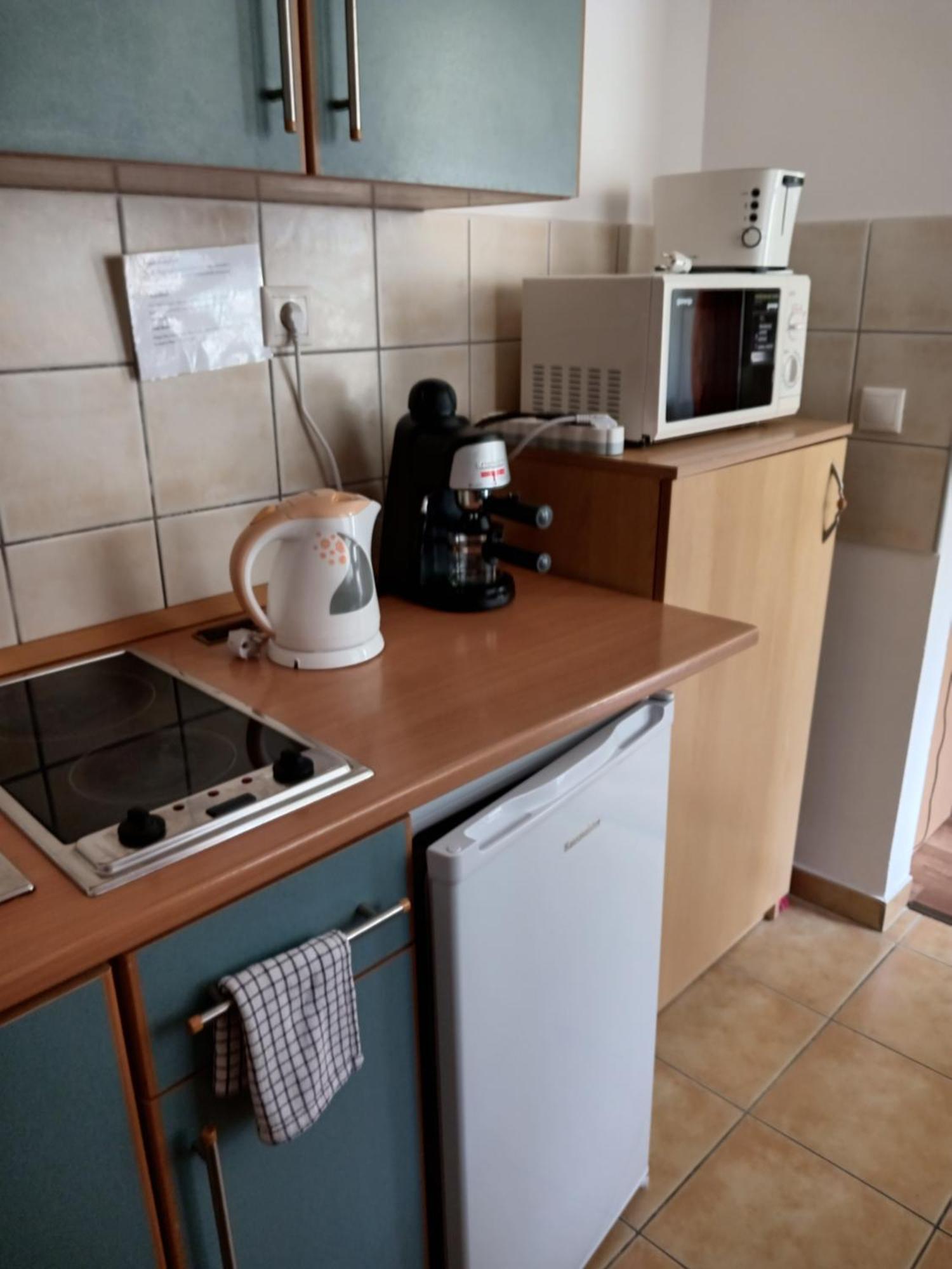 Viola Wellness Apartman Apartment Zalakaros Exterior photo